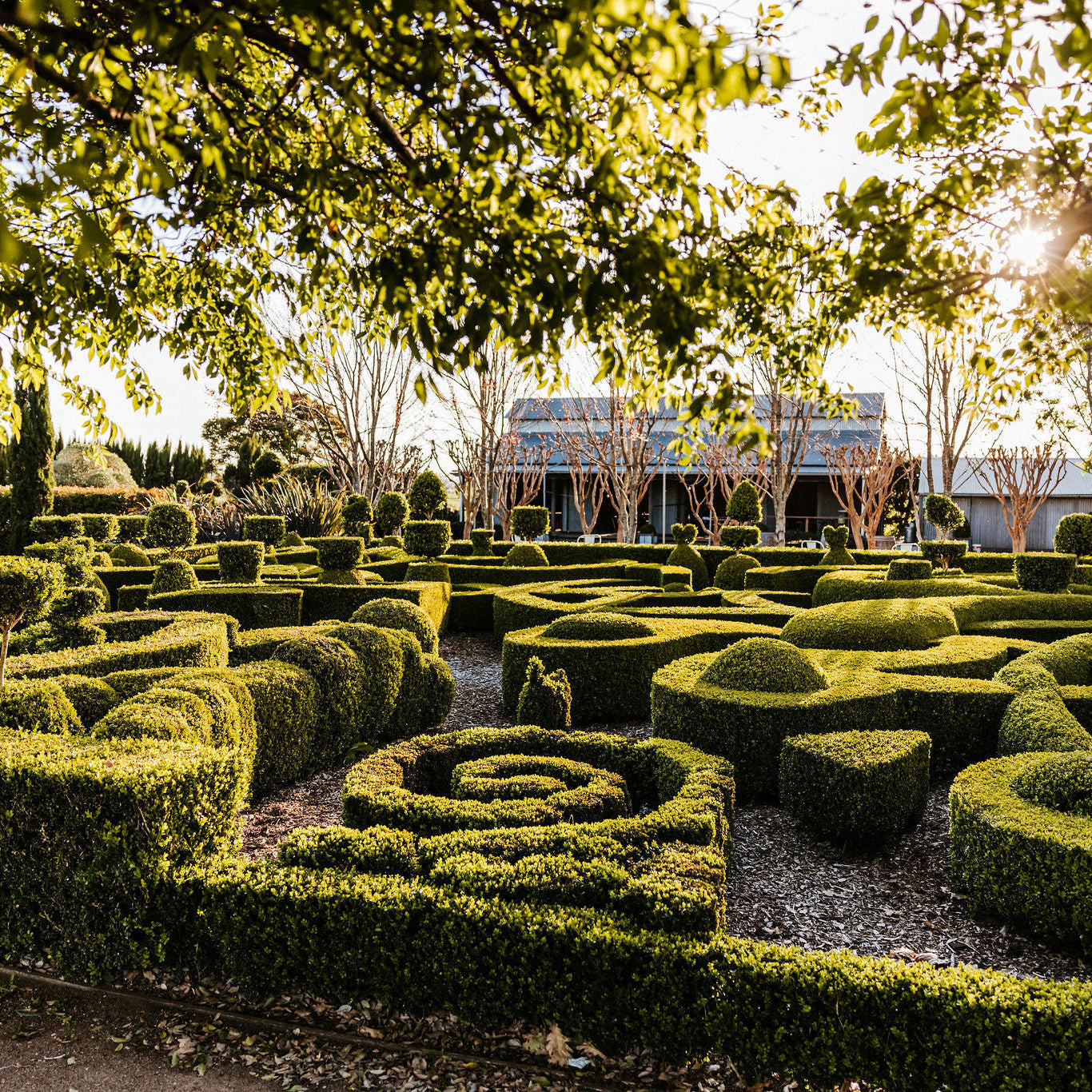The Topiary & Hedging Festival - General Admission